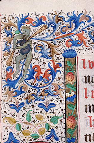 Humanisation de l'Homme sauvage