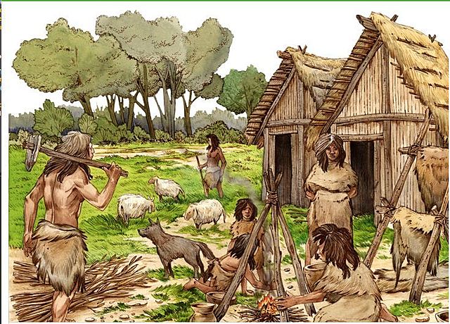 Neolithic period