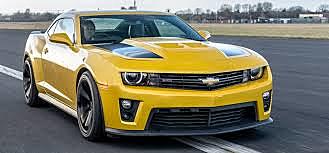 bumblebee