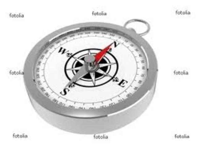 Magnetic Compass