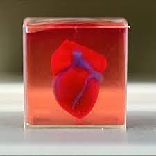 3-D Printed Heart