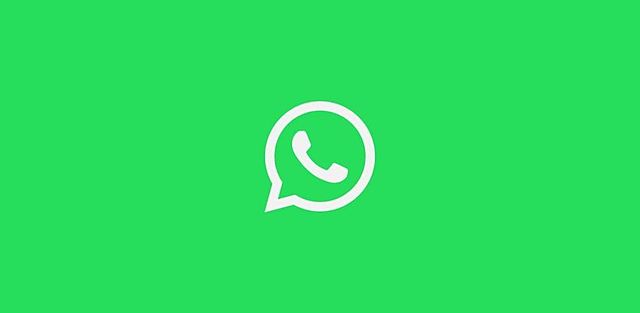 APARECE WHATSAPP