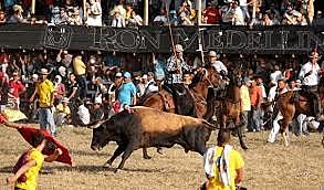 MY GODFATHER TOOK ME TO THE PARTIES A CORRALEJAS