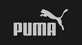 Timeline: Puma