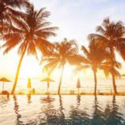 Timeline: Long term goals for Olivia