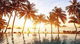 Timeline: Long term goals for Olivia