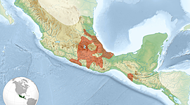 Timeline: The Aztec Empire