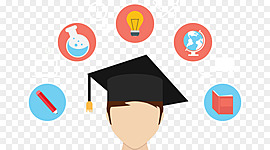 Timeline: Responsabilidades del asesor