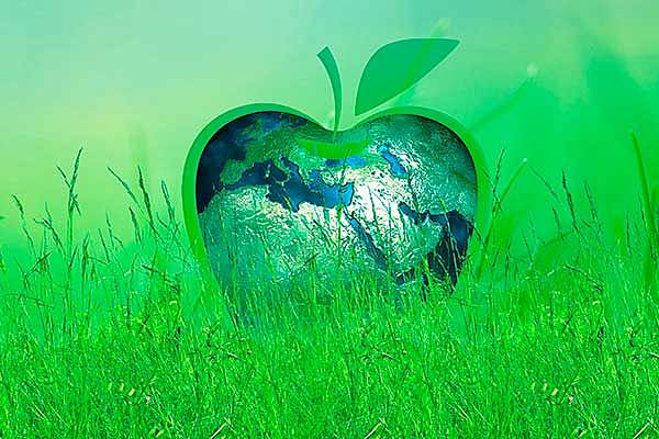 Surgimiento del concepto de Desarrollo Sustentable