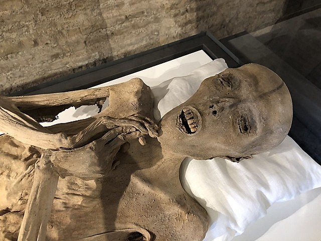 Aproximación del inicio de la momificación.