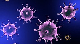 Timeline: virología Deber Steven Vargas