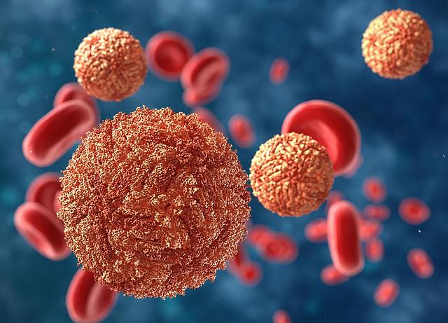 Reconocimiento de un nuevo virus