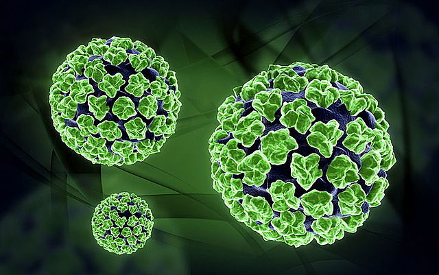 Virus para ayudar a combatir el cáncer