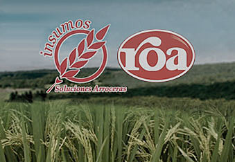 COMERCIALIZADORA DE INSUMOS