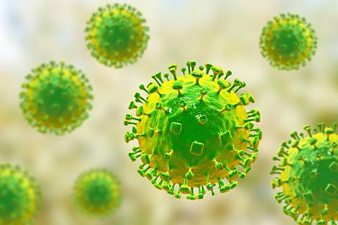 Virus Nipah