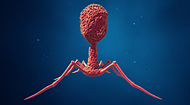 Timeline: Virología