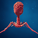 Bacteriofago