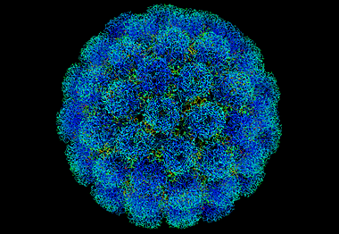 Poliomielitis (Poliovirus)