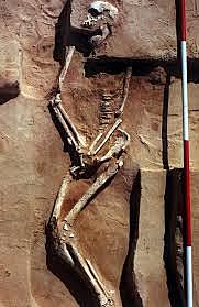 Evidence Of Human Life