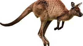 Timeline: Timeline of Australia