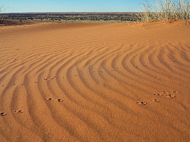 First Footsteps...or not