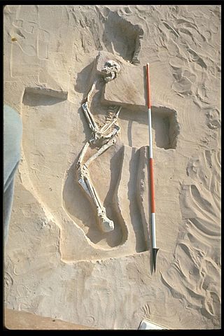 Mungo Man Lived