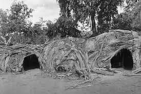 50000 to 60000 Years Ago