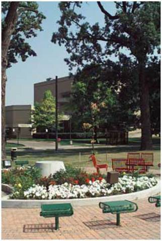 The first colleged in michigan