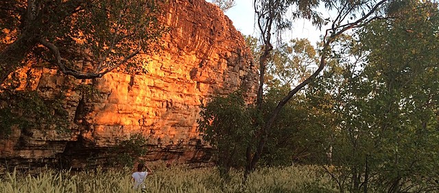The Madjedbebe rock shelter in Arnhem land
