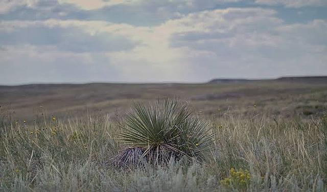 The First Modern People To Leave Africa