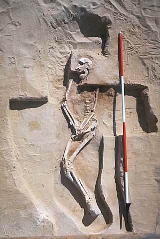 Mungo man and his Ancestors were first modern man to leave Africa 70,000 years ago(2019)
