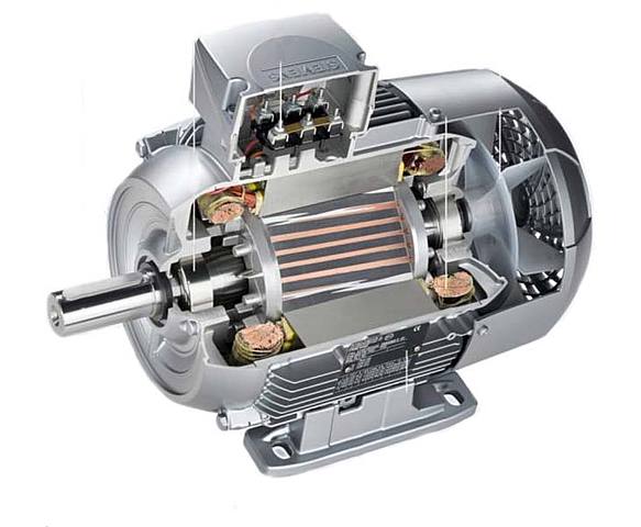 Pinzas, Guias y Motores Electricos