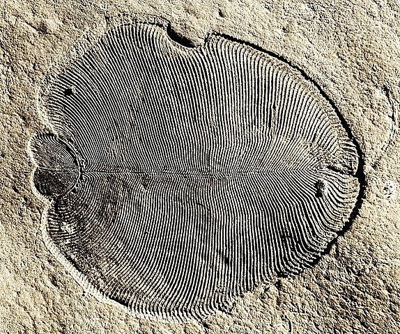 Proterosoikum ehk agueoon