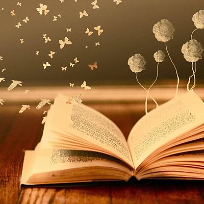 Timeline: Diario De Lecturas