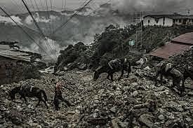 Revisión bibliográfica