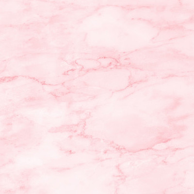 Timeline: La vida de Mei Bargalló