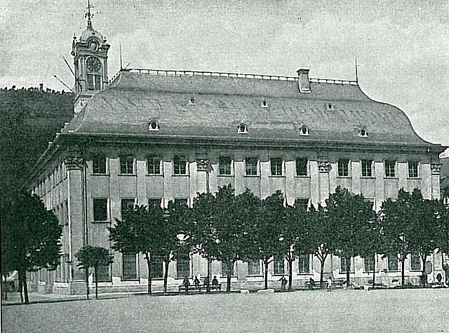 Estudios universitarios