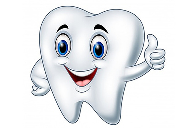 Quan em va caure la primera dent