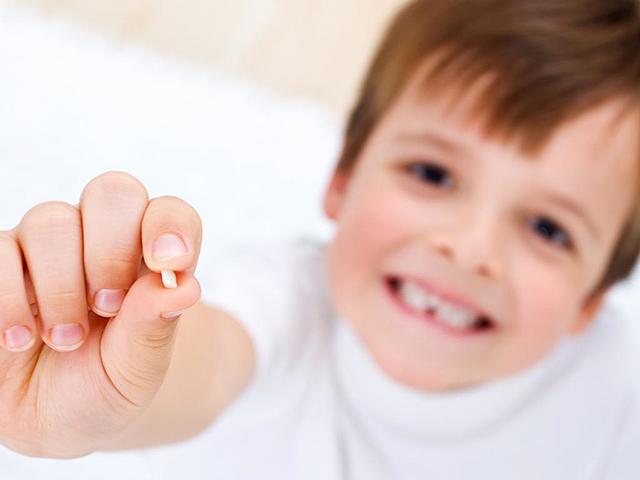 LA MEVA PRIMERA DENT