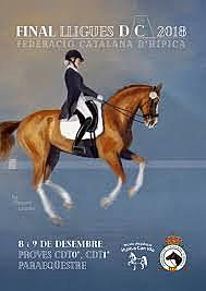 Final Catalana d'interclubs