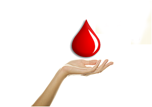 Quan em va venir la regla