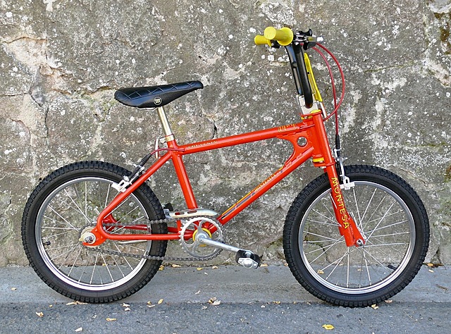 Aprendre a anar amb bicicleta