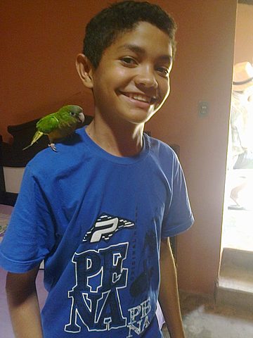 Aprobación del examen de detección