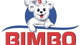 Timeline: Bimbo timeline 2019