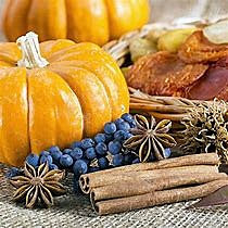 New American Cuisine