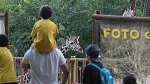 I WENT TO THE ZOO WITH MY FAMILY