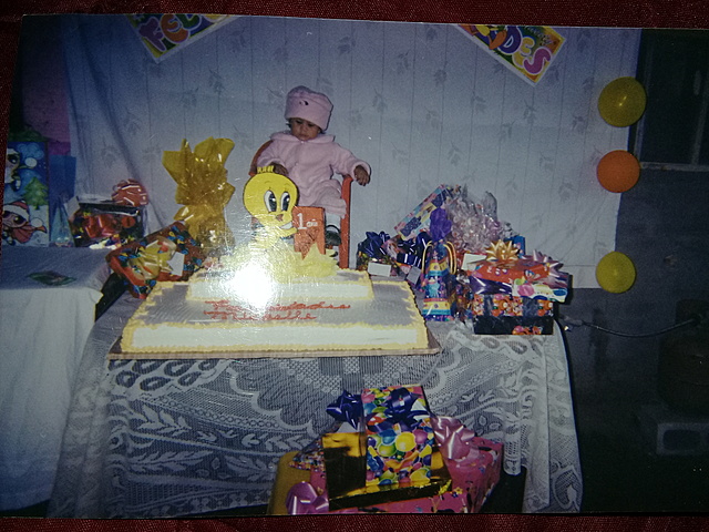 Mi primer año