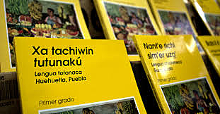 Libros lengua indigena