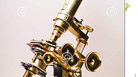 Timeline: HISTORIA DEL MICROSCOPIO