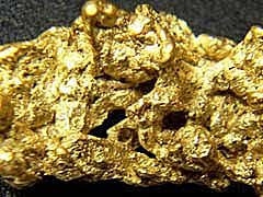 California Gold Rush